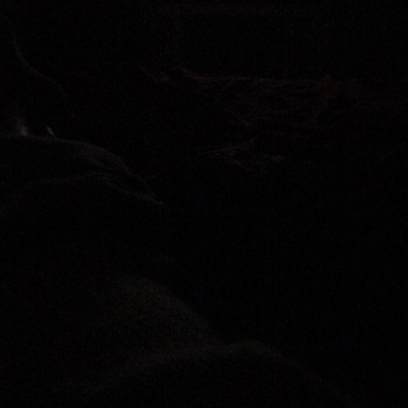 Meet your Posher, Janet - Picture 1 of 1